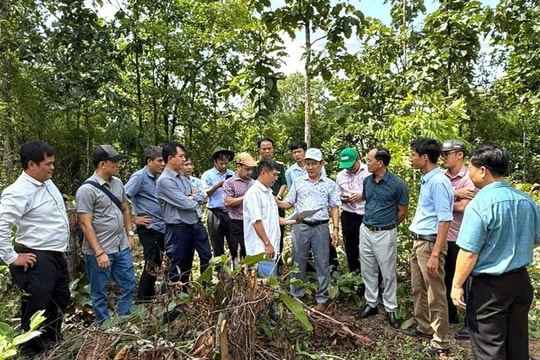 Gia Lai: Đầu tư hơn 1.200 tỷ đồng xây trường nội trú liên cấp ở 7 xã biên giới