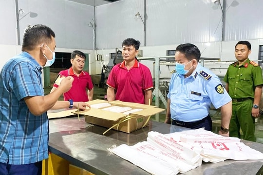 Gia Lai: Một lò giết mổ chứa hàng nghìn con heo đông lạnh không rõ nguồn gốc