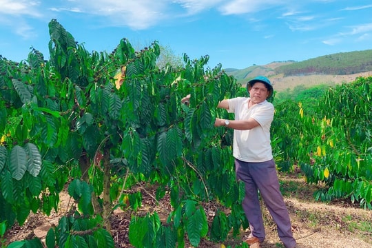 A HLép người thay đổi nếp nghĩ, cách làm của đồng bào Xơ Đăng