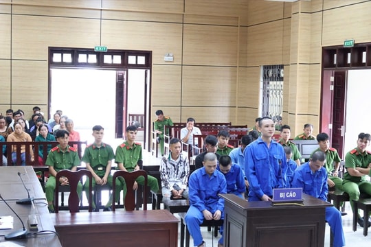 9 người bị lĩnh án sau vụ hỗn chiến bởi thua độ trên sới gà