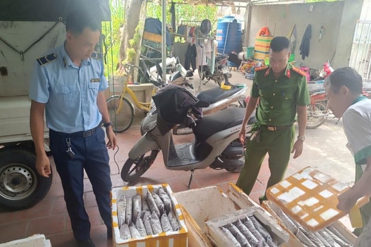 Thanh Hóa tiêu hủy hơn 1 tấn thực phẩm không rõ nguồn gốc