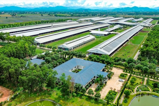 Vinamilk được xếp hạng thương hiệu AAA+: Khẳng định vị thế Việt Nam trong ngành sữa thế giới