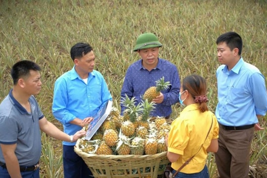 Động lực để Kinh tế tư nhân phát triển