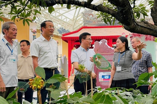 Quảng Ngãi - Cội nguồn cách mạng, vững bước tương lai
