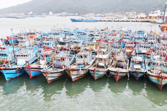 Đà Nẵng chủ động ứng phó bão số 5