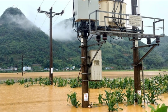 Lào Cai tăng cường các biện pháp ứng phó cơn bão số 5
