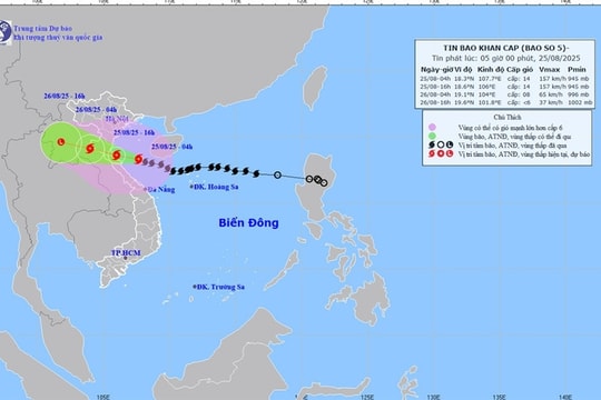 Bão số 5 sắp đổ bộ miền Trung: Nghệ An, Hà Tĩnh chịu ảnh hưởng trực tiếp