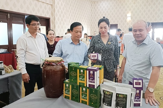 Gia Lai hướng đến mục tiêu có 800 hợp tác xã vào năm 2026