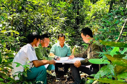 Người dân Canh Liên có thu nhập ổn định nhờ nhận giao khoán rừng