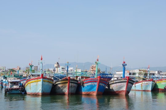 Gia Lai tăng cường công tác chống khai thác thủy sản bất hợp pháp