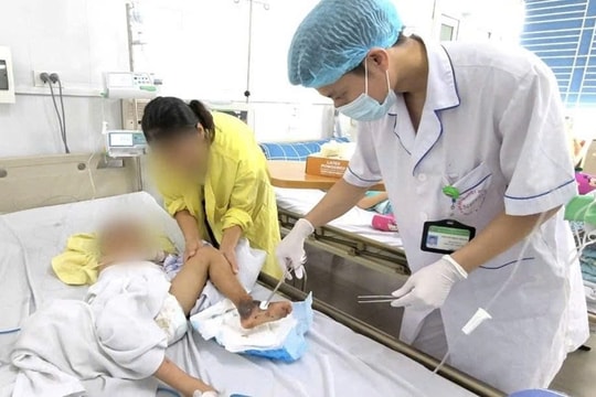 Đắp thuốc Nam lên vết mèo cào, bé trai suy đa tạng