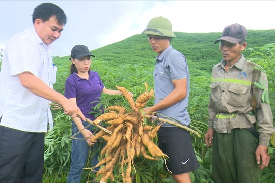 Tạo sinh kế bền vững cho người dân miền núi xứ Thanh