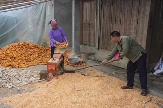 Dự án 8 góp phần thúc đẩy bình đẳng giới ở vùng cao Lào Cai