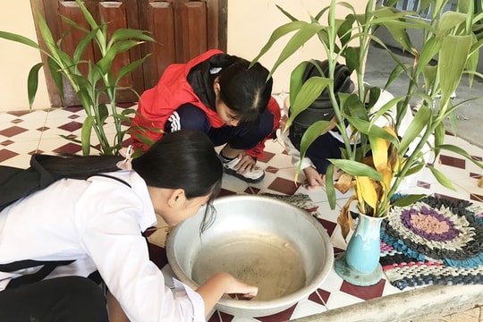 Khánh Hòa đã có 2 trường hợp tử vong do sốt xuất huyết