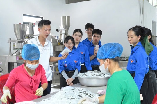 Hành trình khởi nghiệp với cây dược liệu của chàng kỹ sư người Tày