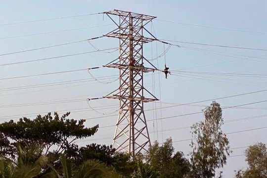 EVNSPC: Quyết tâm hoàn thành kế hoạch đầu tư xây dựng năm 2025