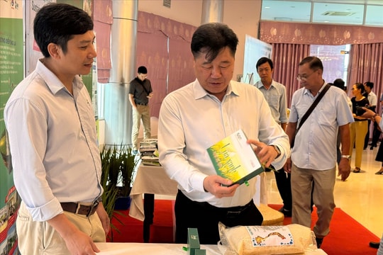 Mô hình lúa chuyên canh chất lượng cao ở ĐBSCL đạt lợi nhuận trên 36 triệu/ha