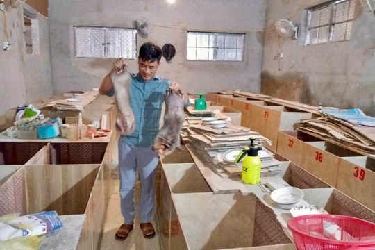 Chuyện khởi nghiệp của chàng trai người Mường: Nếu không dám làm, thì cái nghèo sẽ chẳng bao giờ buông