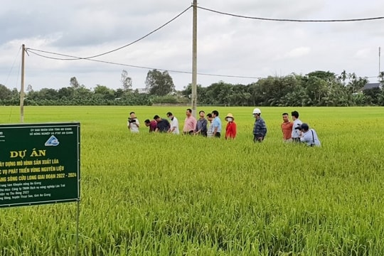 Tổ khuyến nông cộng đồng - Điểm tựa “gần dân, sát ruộng” cho nông dân