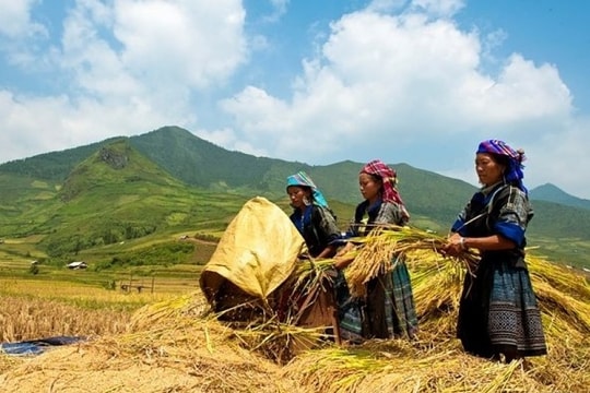 Thúc đẩy chính sách hỗ trợ tạo việc làm, giúp người lao động tiếp cận chính sách hỗ trợ hiệu quả