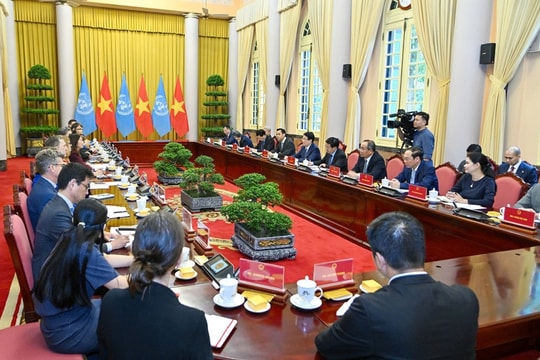 Chủ tịch nước Lương Cường tiếp Điều phối viên thường trú và Trưởng đại diện các tổ chức Liên hợp quốc tại Việt Nam