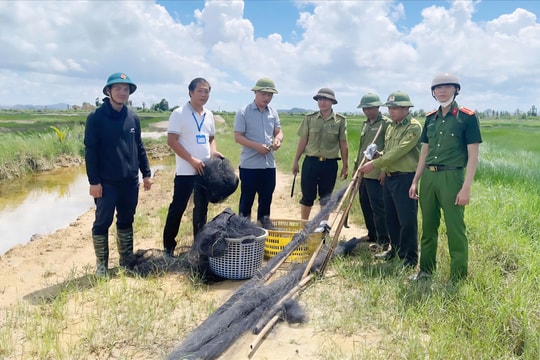 Hãy bảo vệ để những cánh chim di cư bay mãi...