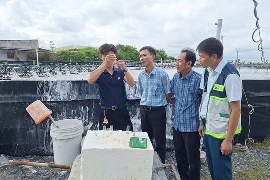 Cà Mau tập huấn nâng cao năng lực tổ khuyến nông cộng đồng, cập nhật Luật Hợp tác xã 2023