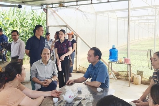 Lào Cai tập huấn hướng dẫn các địa phương ban hành chính sách khuyến nông cộng đồng