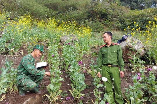Lai Châu tập trung xây dựng “xã không ma túy”