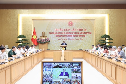 Thủ tướng chủ trì phiên họp 14 Ban Chỉ đạo chống khai thác hải sản bất hợp pháp, không báo cáo và không theo quy định