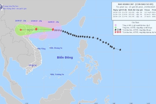 Cảnh báo bão số 9: Mưa lớn, gió giật và lũ