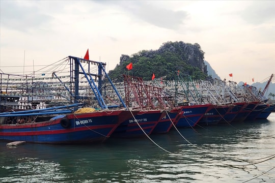 Quảng Ninh: Tạm dừng cấp phép tàu ra khơi từ 10 giờ ngày 24/9