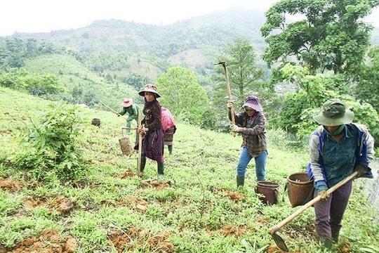 Cơ cấu lại nông nghiệp theo hướng sinh thái, xanh và giá trị cao: Hướng đi tất yếu cho sự phát triển bền vững