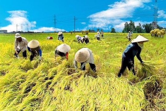 Nâng quy mô gói tín dụng ưu đãi ngành nông, lâm, thủy sản lên 185.000 tỷ đồng