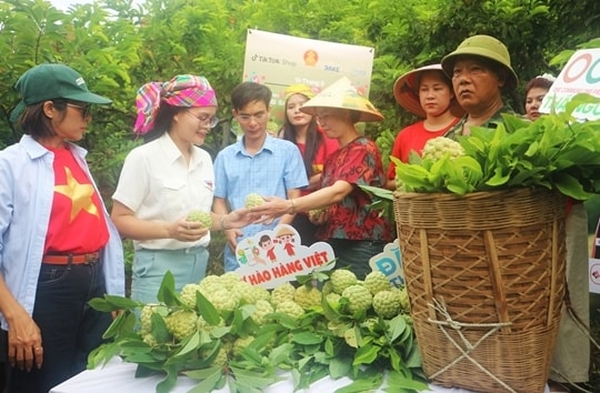 Thái Nguyên thành công với mô hình “Vườn na Võ Nhai trên môi trường số”