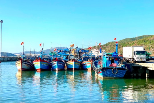 Gia Lai kêu gọi tàu thuyền về nơi an toàn tránh bão Bualoi