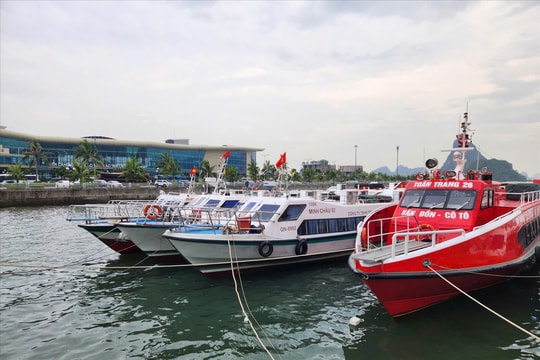Tạm ngừng cấp phép tàu trên vùng biển Quảng Ninh từ 18 giờ ngày 27/9