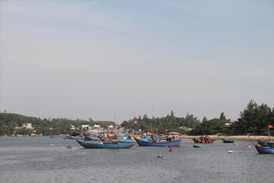Quảng Ngãi cấm tàu thuyền ra biển từ chiều 27/9, khẩn trương triển khai ứng phó bão số 10
