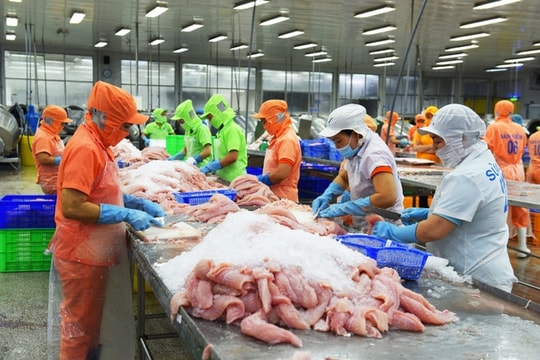 Đồng Tháp đề ra 14 chỉ tiêu chủ yếu cho nhiệm kỳ mới, tăng trưởng kinh tế bình quân 9%