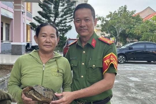 Người dân bàn giao cá thể rùa núi vàng quý hiếm cho Kiểm lâm thả về tự nhiên