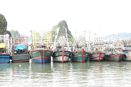 Quảng Ninh huy động hơn 17.000 người ứng phó bão Matmo