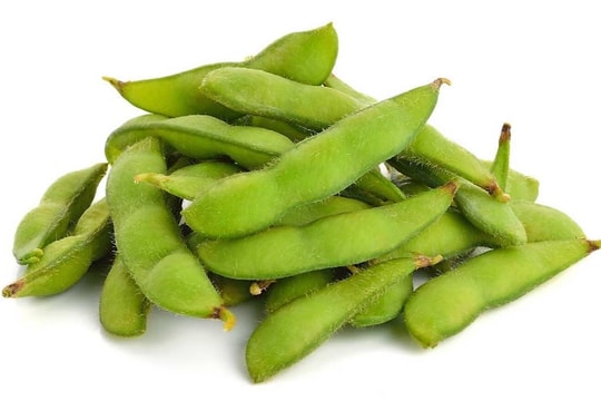 Quy trình kỹ thuật trồng đậu tương hiệu quả