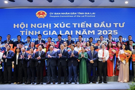 Gia Lai thu hút 144 dự án đầu tư với số tổng vốn hơn 78.000 tỷ đồng