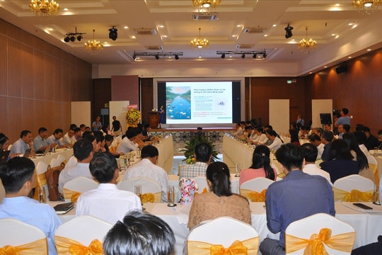 Cần Thơ hướng tới xây dựng trường học sinh thái không rác thải nhựa