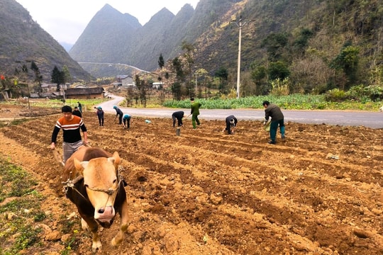 Giảm phát thải khí nhà kính, bước chuyển tất yếu trong sản xuất trồng trọt