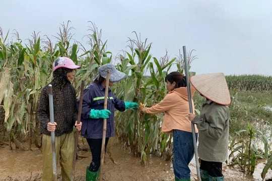 Hoàn thiện cơ chế cho khuyến nông trong bối cảnh mới