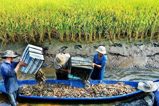 Nông nghiệp phía Nam tăng tốc chuyển đổi xanh, hướng tới phát triển bền vững