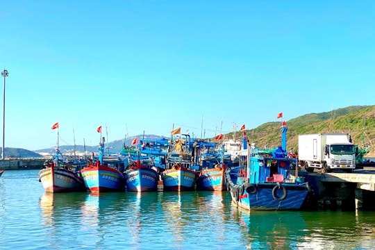 Gia Lai chi hơn 4,4 tỷ đồng hỗ trợ chủ tàu cá không đủ điều kiện khai thác thủy sản