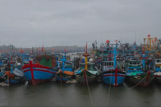 Quảng Ngãi tập trung ứng phó bão số 12, sẵn sàng cho học sinh nghỉ học