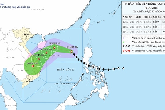 Thủ tướng yêu cầu chủ động ứng phó bão số 12 và mưa lũ